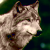:iconsilverback08: