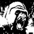 :iconsilverbackinc: