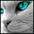 :iconsilverblaze868: