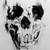 :iconsilverblood55:
