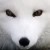 :iconsilverchaucer: