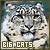 :iconsilverclaw33: