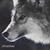 :iconsilverclaw99: