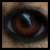 :iconsilvercrusade: