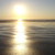 :iconsilvercypress: