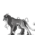 :iconsilverdawn0001: