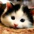 :iconsilverdawn97: