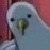 :iconsilverdecoy: