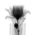 :iconsilvereclipseshadow: