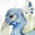 :iconsilvered-winter: