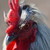 :iconsilverflamebird: