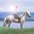 :iconsilverflyingcookie: