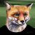 :iconsilverfox-furry: