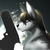 :iconsilverfox2007: