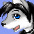 :iconsilverfurredkage:
