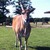 SilverGriffin534 :iconsilvergriffin534: