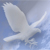 :iconsilverhawke: