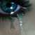 :iconsilverkyte: