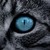 :iconsilverleaf0109: