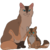 :iconsilverleaf456:
