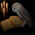 :iconsilverlifeangel: