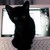 :iconsilverlight00: