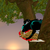 :iconsilverlovesowl: