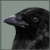 :iconsilvermagpie: