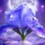 :iconsilvermist007: