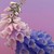 silvermist1223 :iconsilvermist1223: