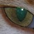 :iconsilvermoon16: