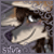 :iconsilvermoon1993: