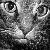 :iconsilvermooncat:
