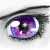 :iconsilvermooneclipse: