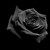 :iconsilvermoonharper: