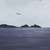 :iconsilvermoonnightmist: