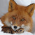 :iconsilvern-geo: