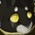 :iconsilvernight77: