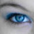 :iconsilverpaintedrose: