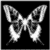 :iconsilverrainfell: