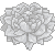 :iconsilverranunculus:
