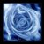:iconsilverrose5290: