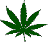 :iconsilverschance: