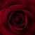 :iconsilverskins: