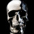 :iconsilverskull89: