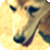 :iconsilverskymoon: