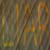 :iconSilversongs: