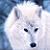 :iconsilversoul22: