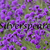 :iconsilverspeare: