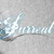 :iconsilverspeculum: